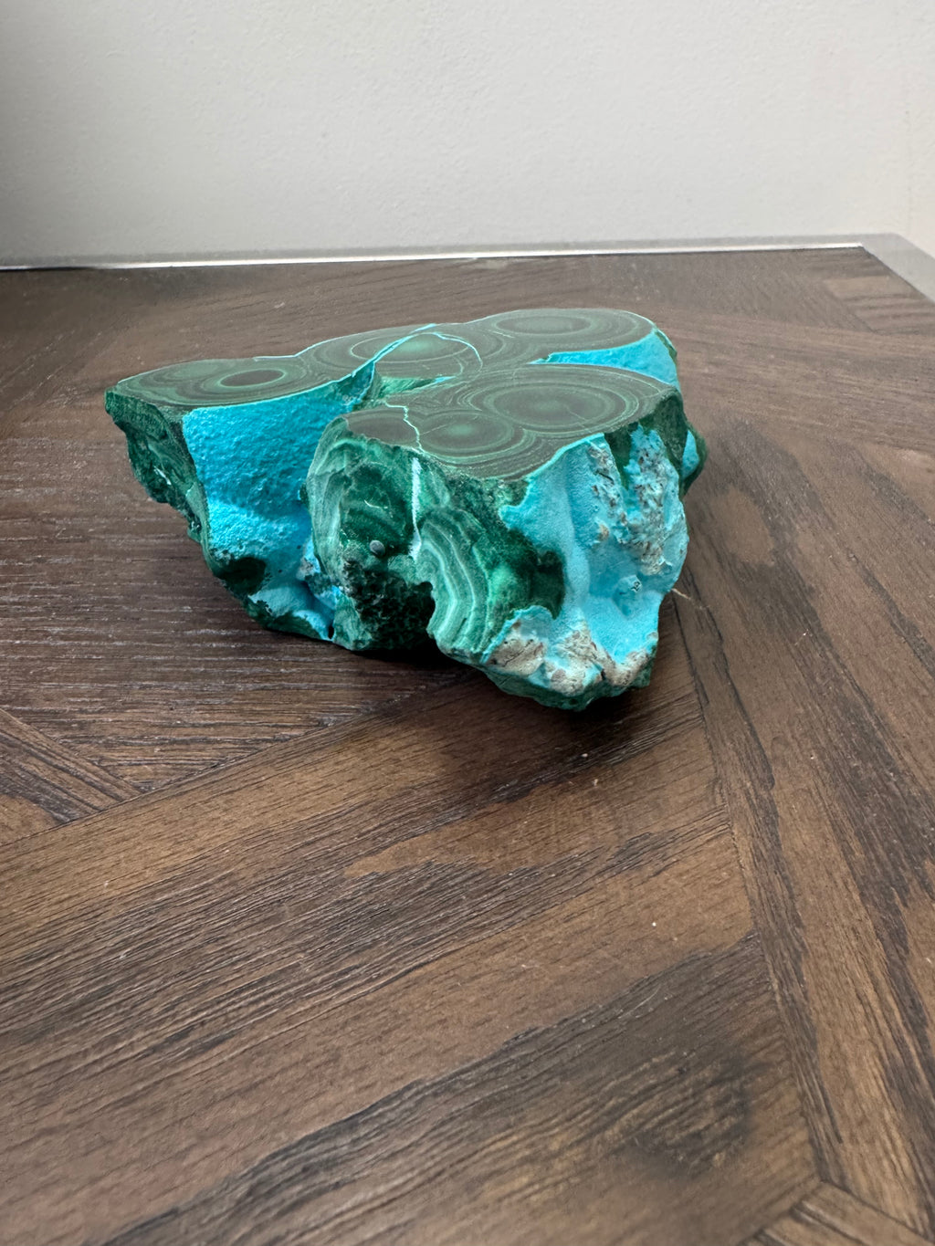 💚💙 Malacholla Specimen ✨