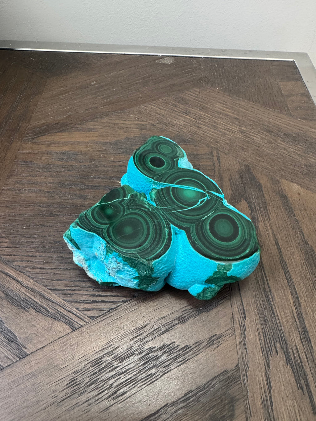 💚💙 Malacholla Specimen ✨