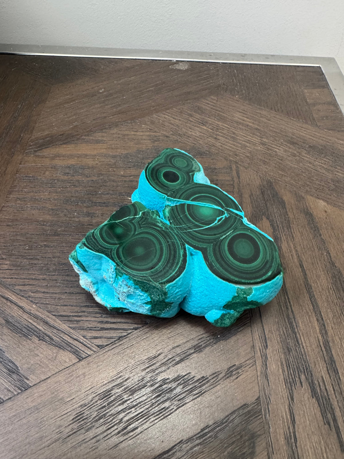 💚💙 Malacholla Specimen ✨