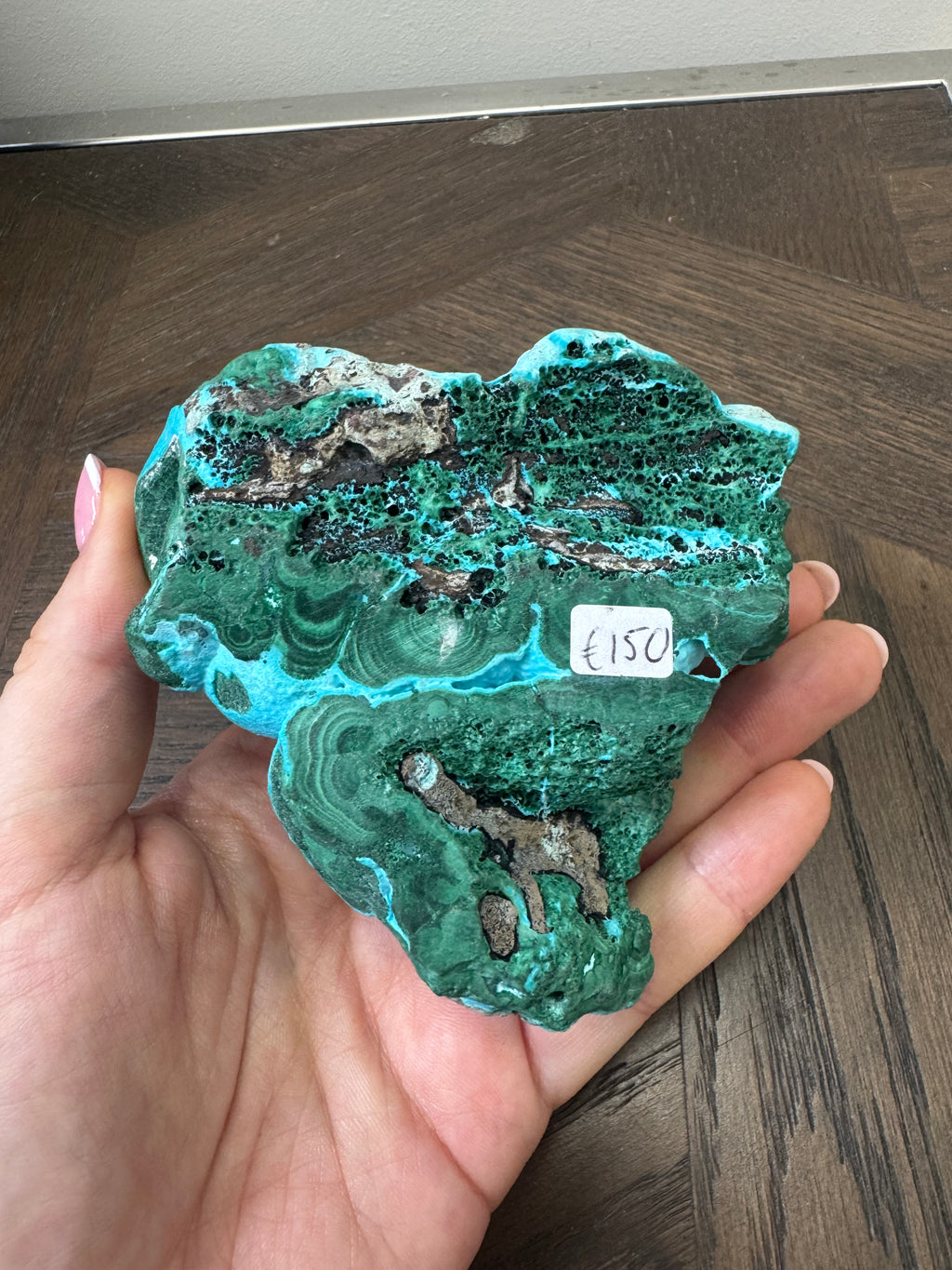 💚💙 Malacholla Specimen ✨