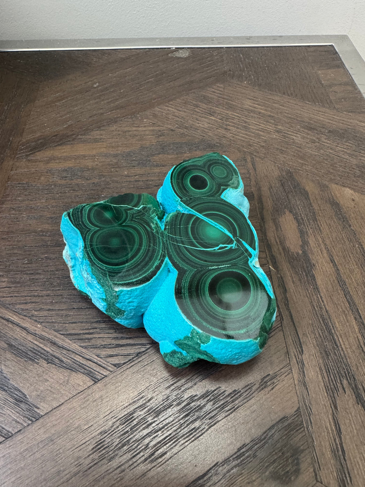 💚💙 Malacholla Specimen ✨