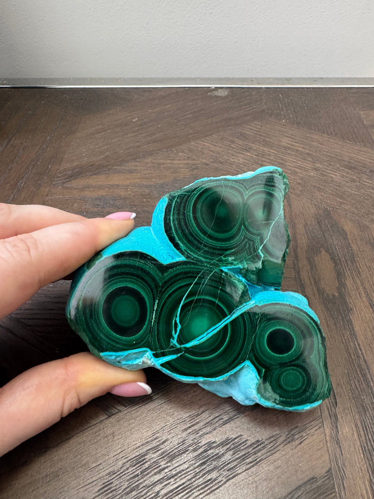 💚💙 Malacholla Specimen ✨