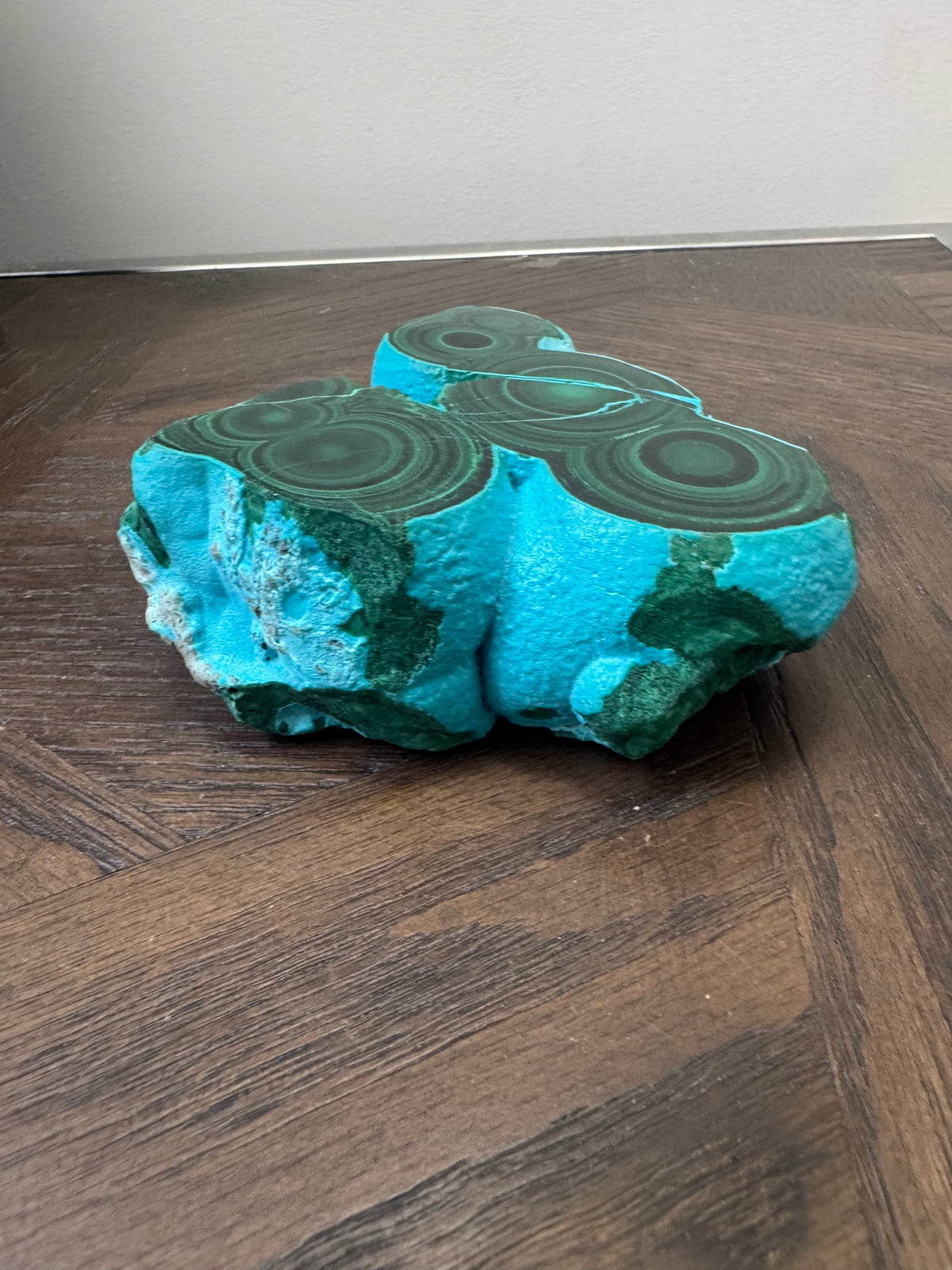 💚💙 Malacholla Specimen ✨