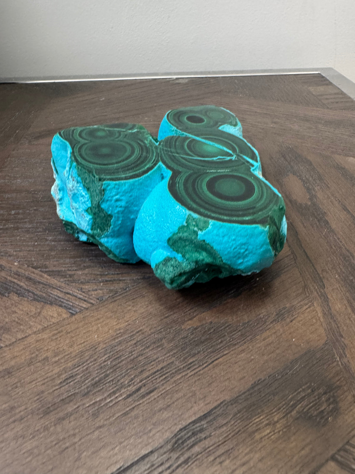💚💙 Malacholla Specimen ✨