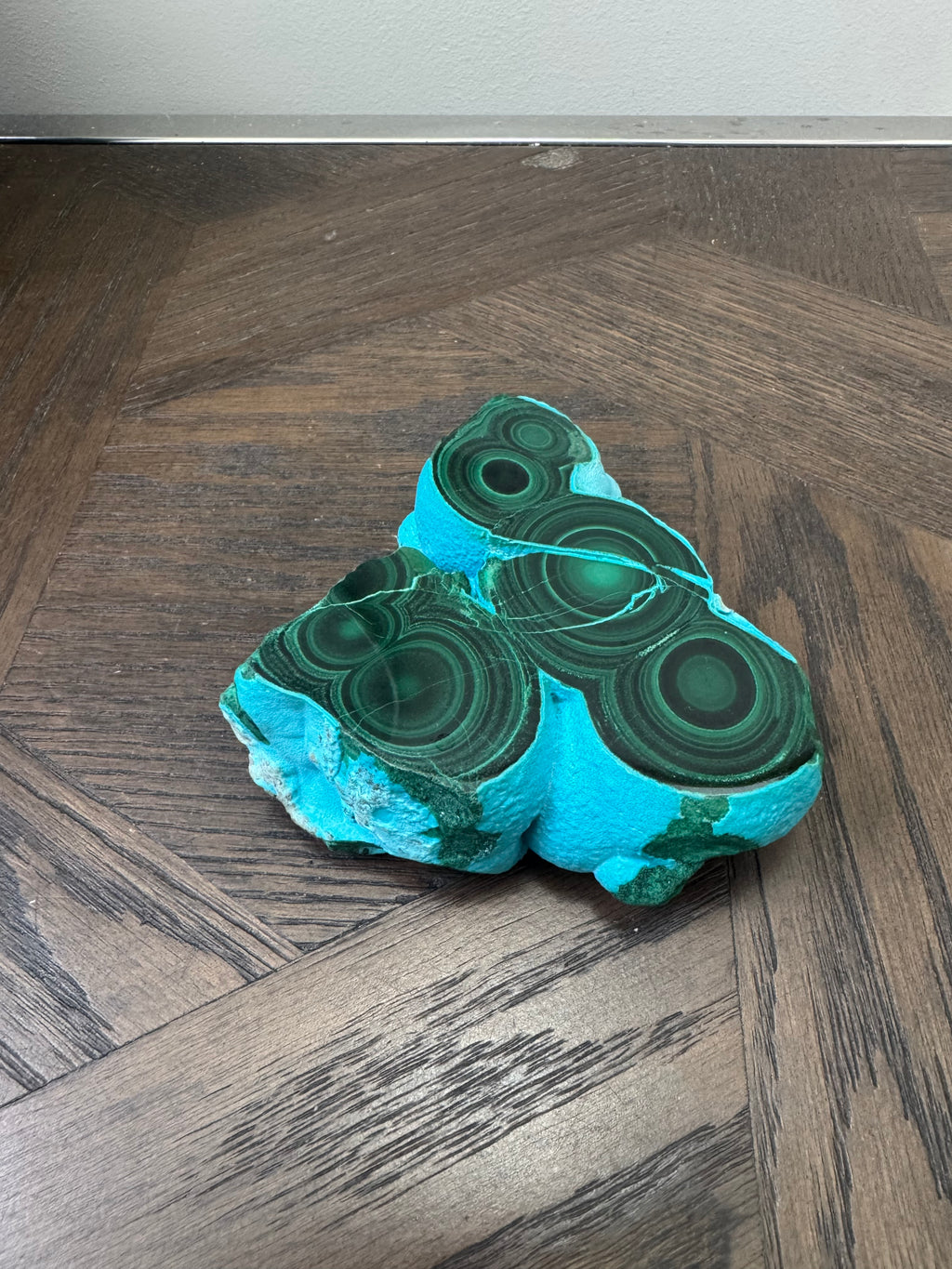 💚💙 Malacholla Specimen ✨
