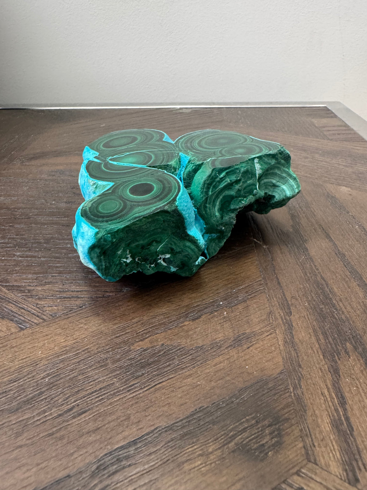 💚💙 Malacholla Specimen ✨