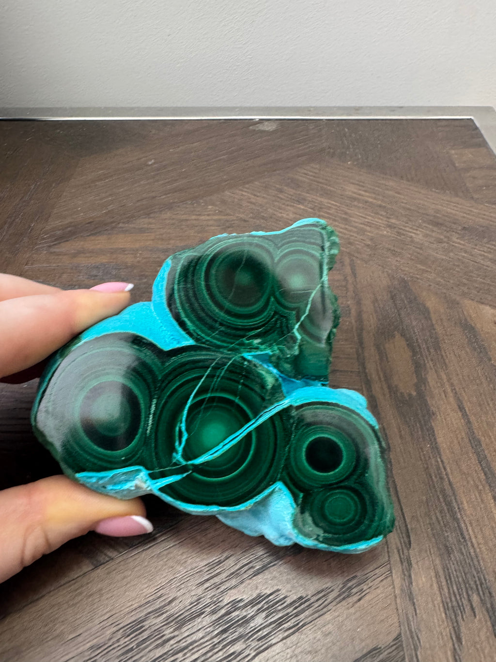 💚💙 Malacholla Specimen ✨