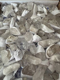 Natural Raw Clear Quartz Points Master Healer Crystal Specimen