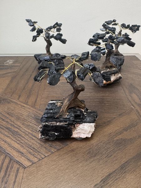 Black Tourmaline Crystal Bonsai Tree