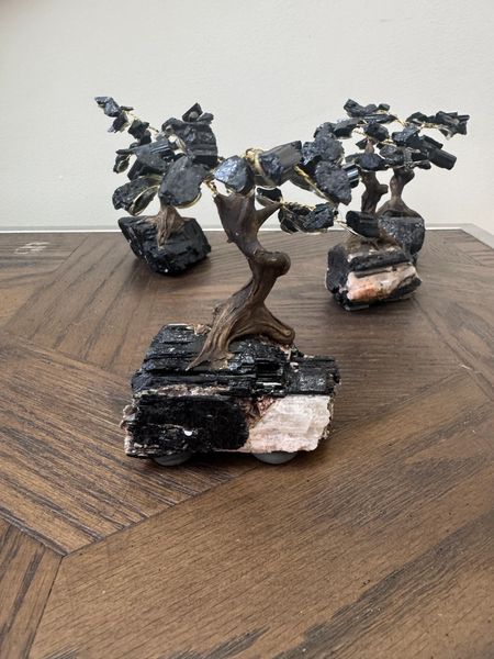 Black Tourmaline Crystal Bonsai Tree