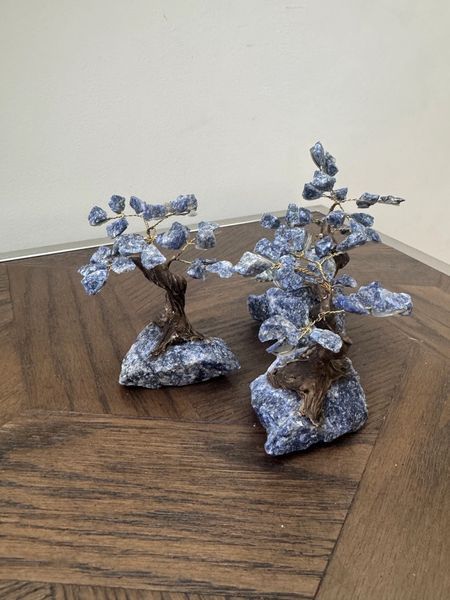Natural Sodalite Handcrafted Bonsai Tree Crystal Specimen