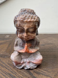 Natural Petrified Wood Hand Carved Buddha Crystal Specimen