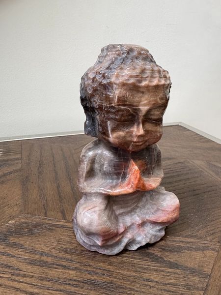 Natural Petrified Wood Hand Carved Buddha Crystal Specimen