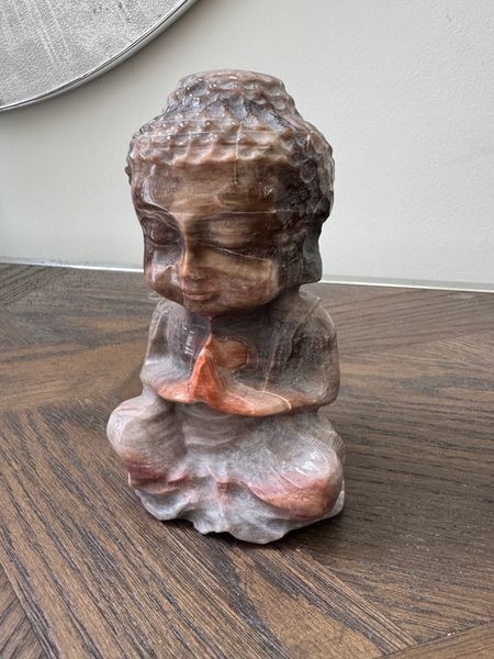 Natural Petrified Wood Hand Carved Buddha Crystal Specimen