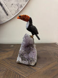 Eclipse Black Obsidian Toucan on Amethyst Freeform Base