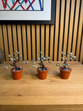 Pyrite Tree in Crystal Pot
