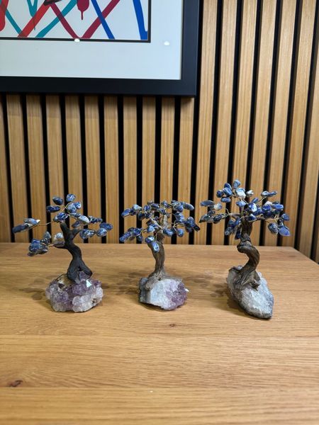 Sodalite Tree on Amethyst