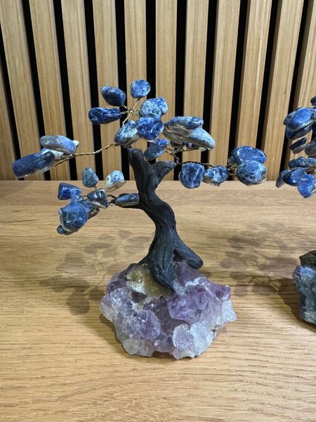 Sodalite Tree on Amethyst