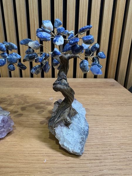 Sodalite Tree on Amethyst