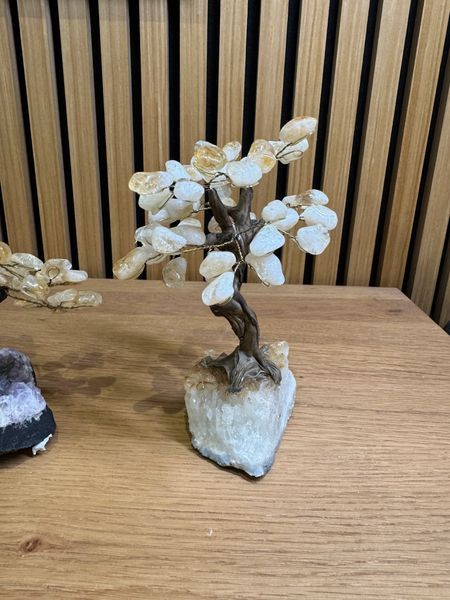 Natural Citrine Tree Crystal Specimen