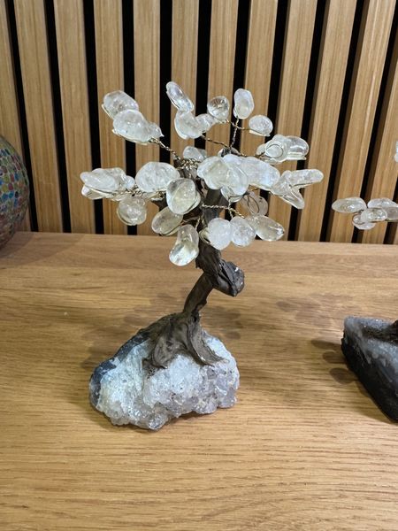 Natural Clear Quartz Tree on Amethyst Base Crystal Specimen