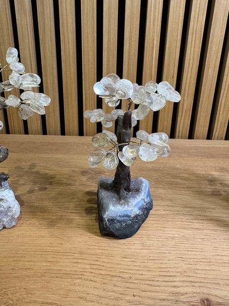 Natural Clear Quartz Tree on Amethyst Base Crystal Specimen