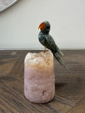Sage Green Jasper Parrot on Pink Amethyst Base