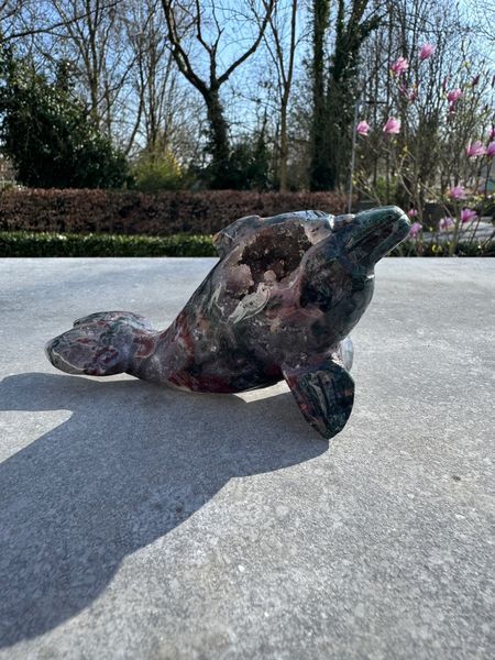 Ocean Jasper Dolphin
