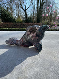 Ocean Jasper Dolphin