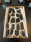 Black Tourmaline Tumbles