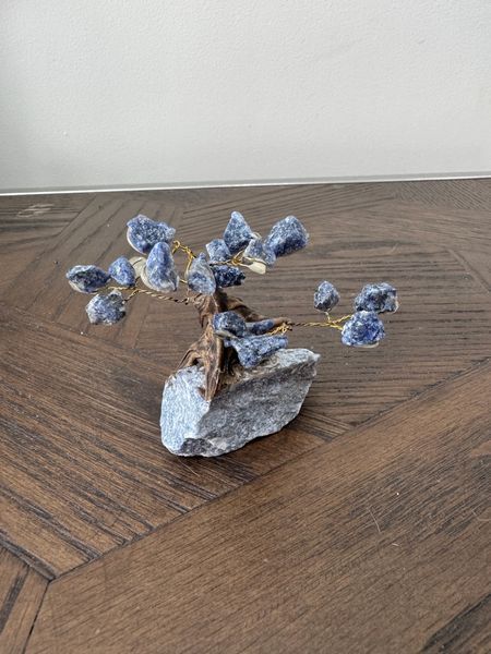 Mini Sodalite Wisdom Tree