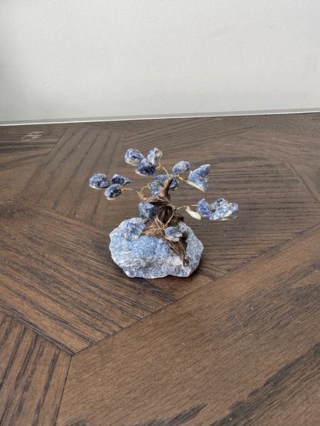 Mini Sodalite Wisdom Tree