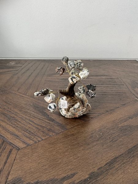 Natural Tourmalinated Quartz Tree Crystal Specimen