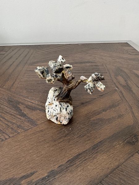 Natural Tourmalinated Quartz Tree Crystal Specimen