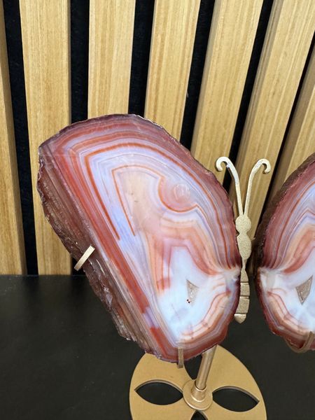 Carnelian Butterfly on Stand